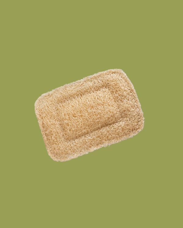 Friendly Beings Porta Saponetta in Luffa Cuscino