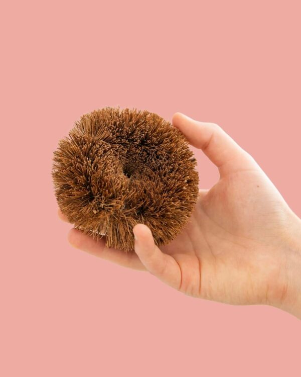 Droguerie Ecologique Spazzola Cocco