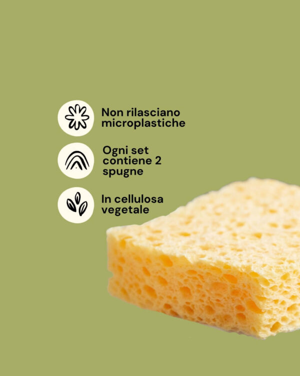 EcoLiving Set 2 Spugne in Cellulosa per Pulizie Info