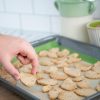 EcoLiving Tappetino Forno Riutilizzabile In Utilizzo