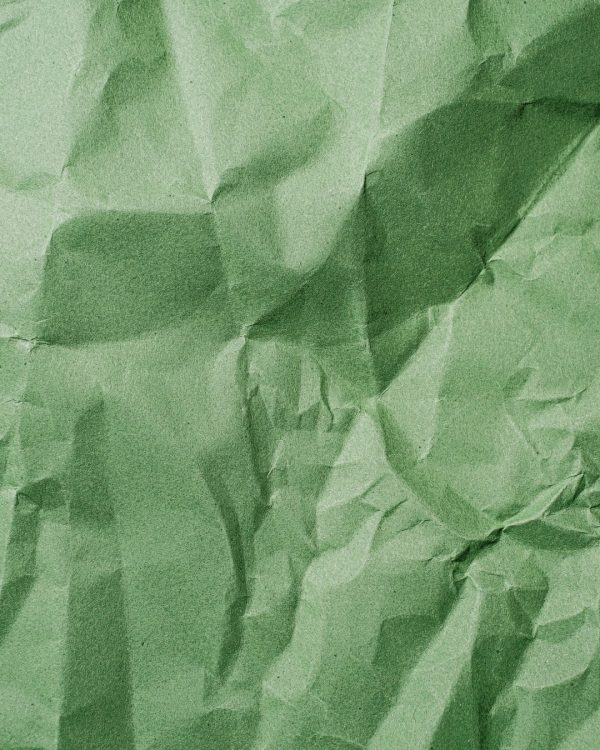 Friendly Shop Blog Greenwashing Principale