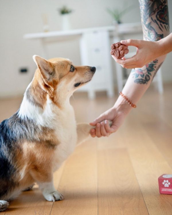 Pepets Shampoo Solido Per Animali Pelo Rosso Dettaglio