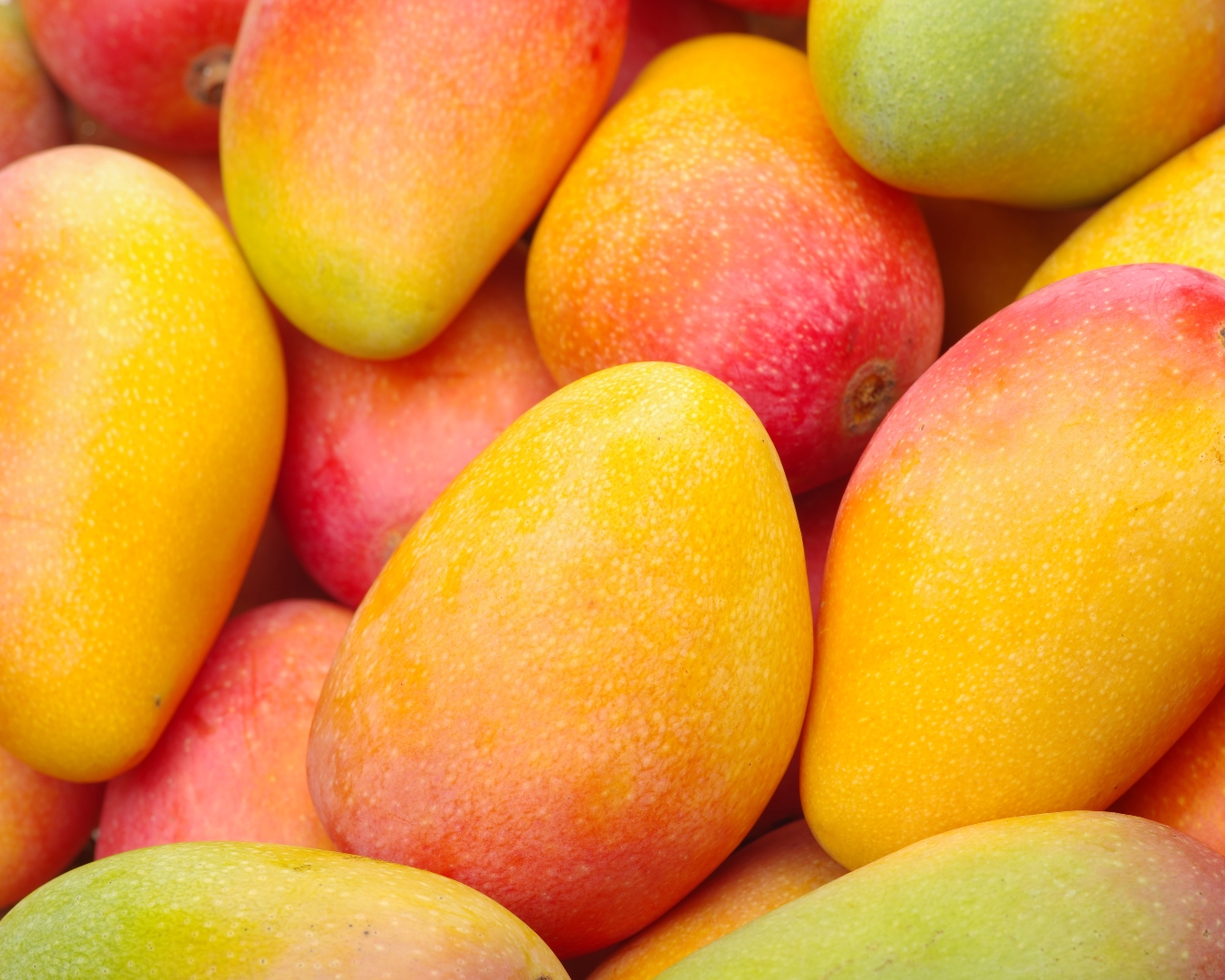 Banner Mango Siero Viso
