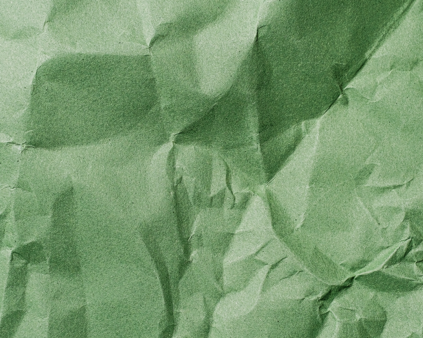Blog Anteprima Green Friday perche e un greenwashing del Black Friday