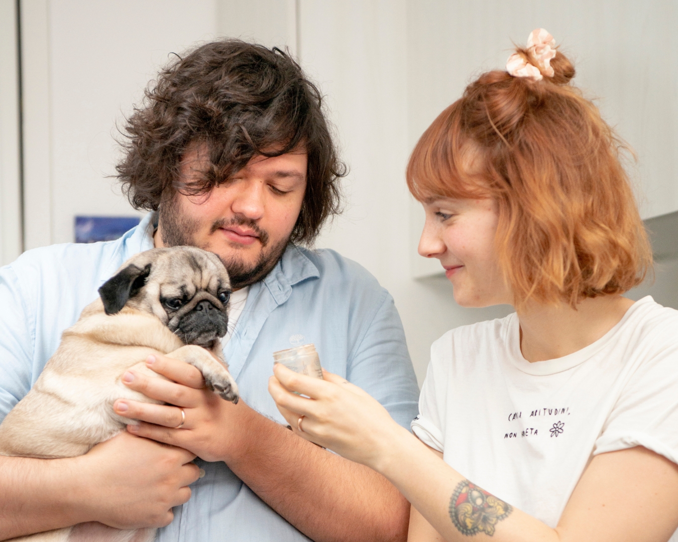 Blog Anteprima Vivere Sostenibile Con Il Tuo Cane