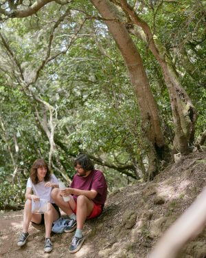 Friendly Shop Blog Piantare e Crescere Alberi Bosco Cate e Tesla