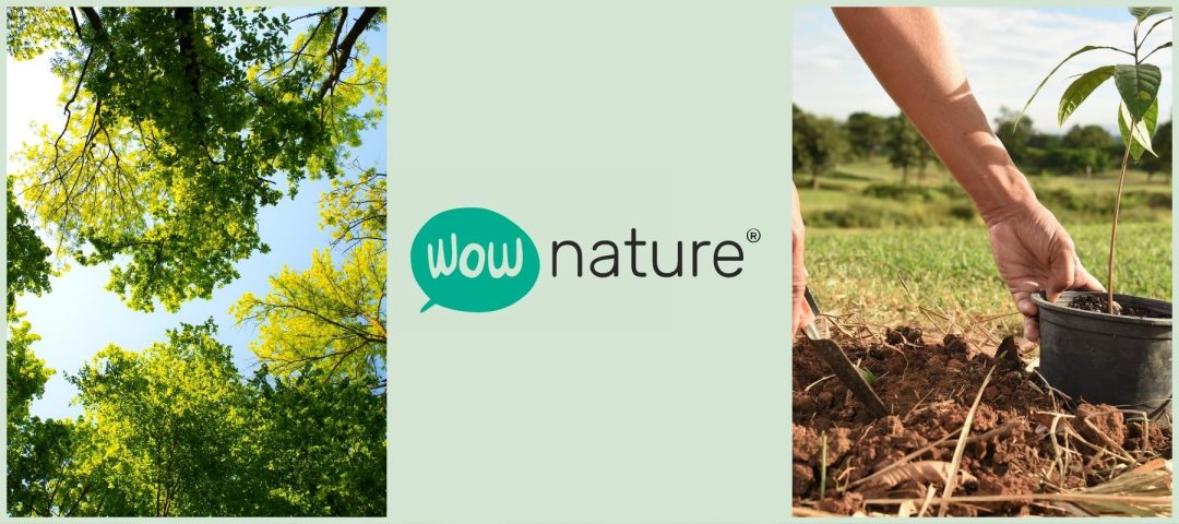 Wownature banner principale