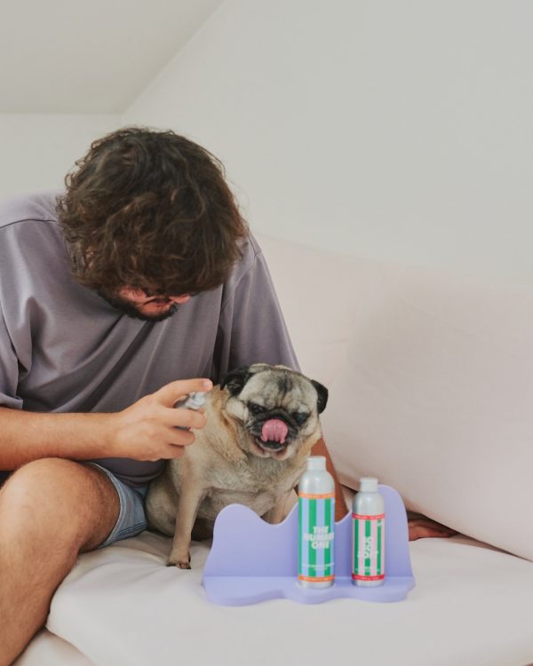 Jampy Dentifricio Per Cani Kiss Me Come Si Usa Annie Lingua