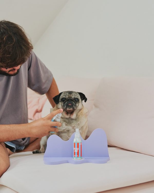 Jampy Dentifricio Per Cani Kiss Me Come Si Usa Fronte