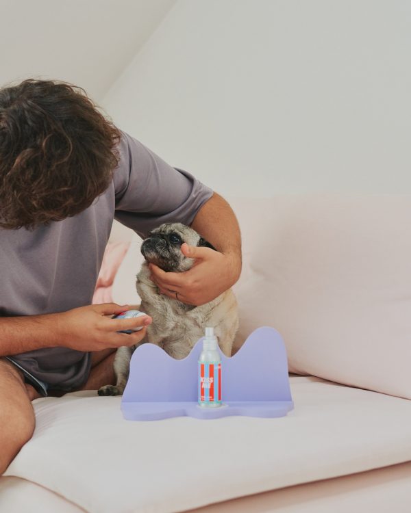 Jampy Dentifricio Per Cani Kiss Me In Uso