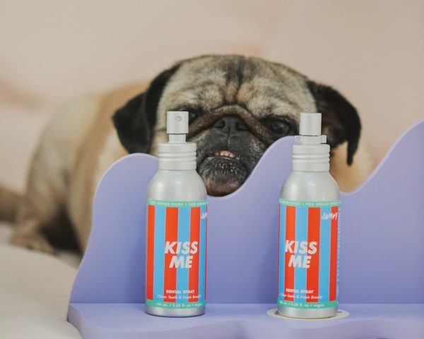 Jampy Dentifricio Per Cani Kiss Me Ingrediente