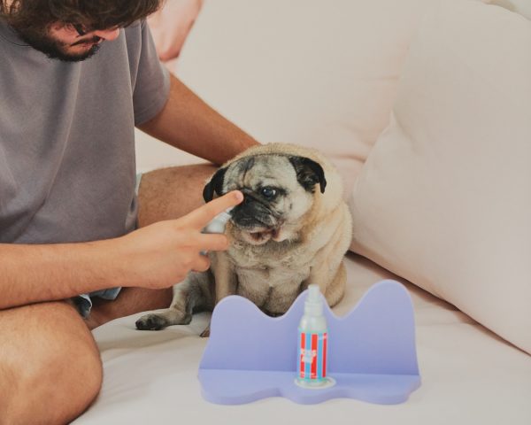 Jampy Dentifricio Per Cani Kiss Me Mentolo