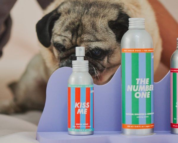 Jampy Dentifricio Per Cani Kiss Me Rosmarino