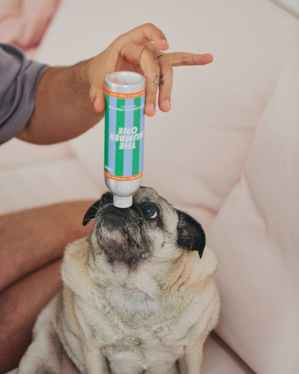 Jampy Shampoo E Balsamo Per Cani The Number One Annie
