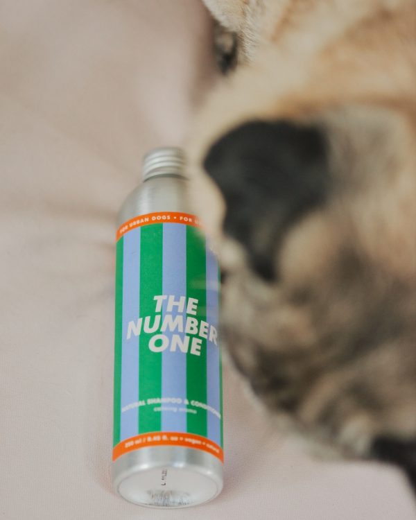 Jampy shampoo e balsamo per cani the number one annie dall'alto