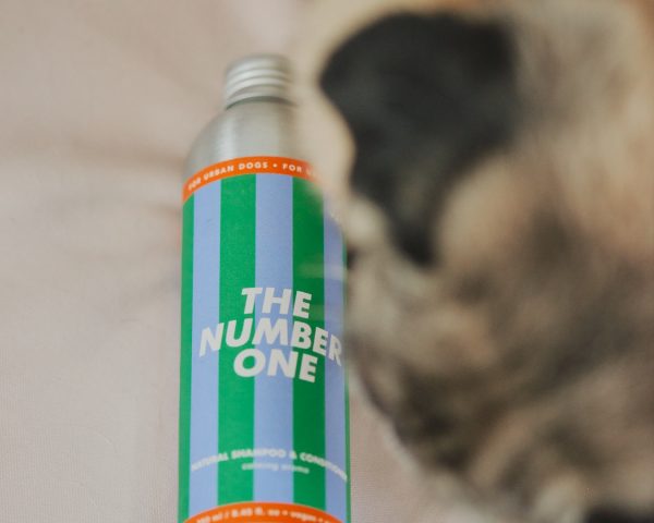Jampy Shampoo E Balsamo Per Cani The Number One Dettaglio Testa