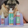 Jampy Shampoo e Balsamo per Cani The Number One Linea Completa