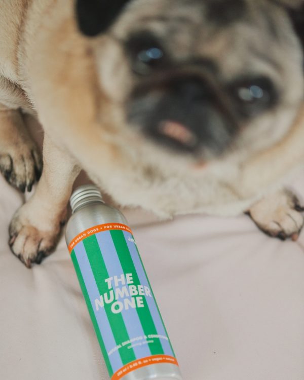 Jampy Shampoo E Balsamo Per Cani The Number One Zampina