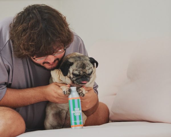 Jampy Shampoo E Balsamo Per Cani The Number One In Mano