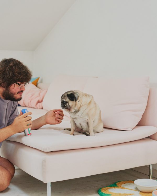 Jampy Spray Districante E Anti Odore Per Cani So So Soft Coccole Annie
