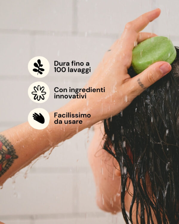 Friendly Beings Shampoo Solido Info