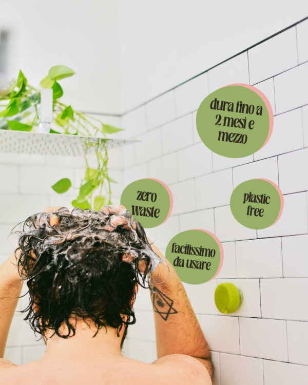 Friendly Shop Shampoo Solido Info New