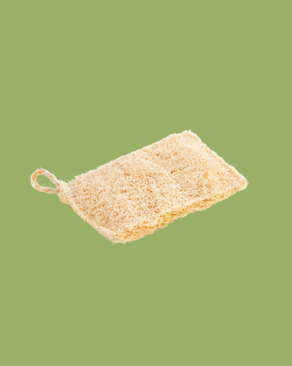 FriendlyShop Spugna di Luffa Cucita