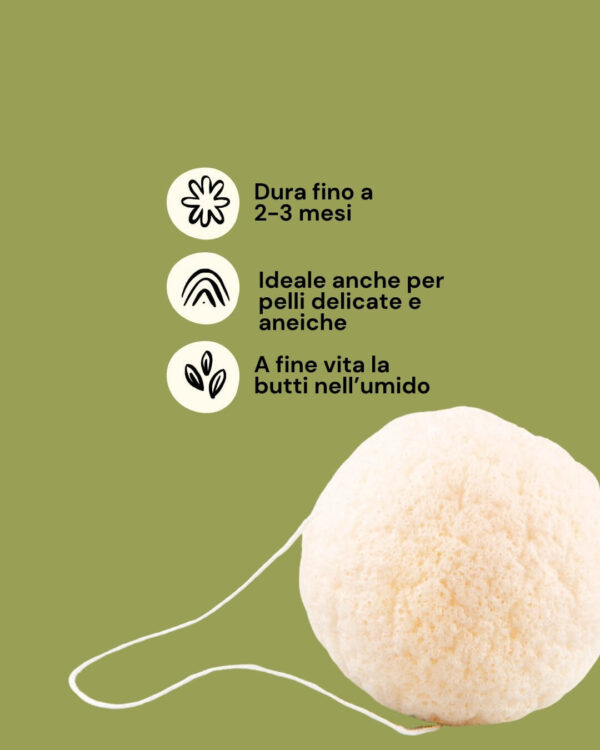 Hydrophil Spugna di Konjac Info