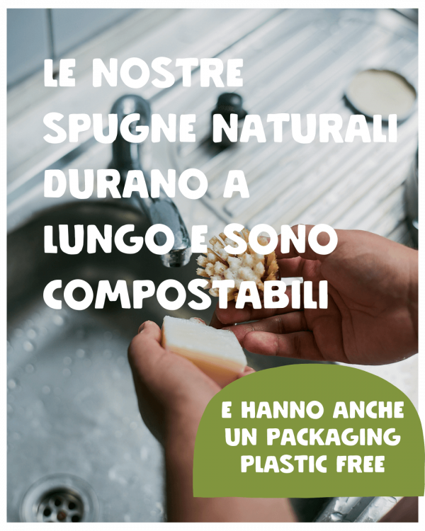 Foto Banner Spugne e Spazzole