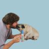 Jampy Spray Districante per Cani Tesla Annie
