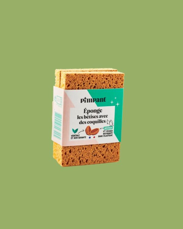 Pimpant Set 2 Spugne Abrasive Antigraffio Fronte