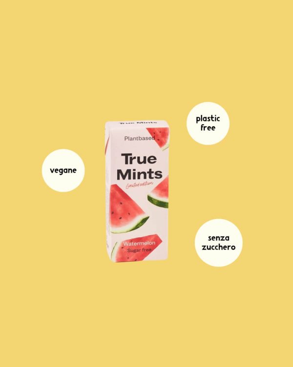 True gum mentine plastic free anguria info