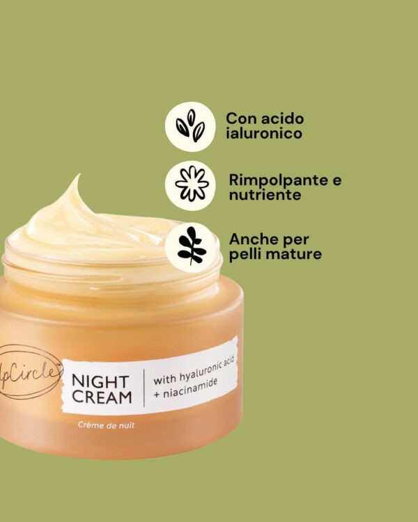 UpCircle Crema Viso Notte con Acido Ialuronico Informazioni