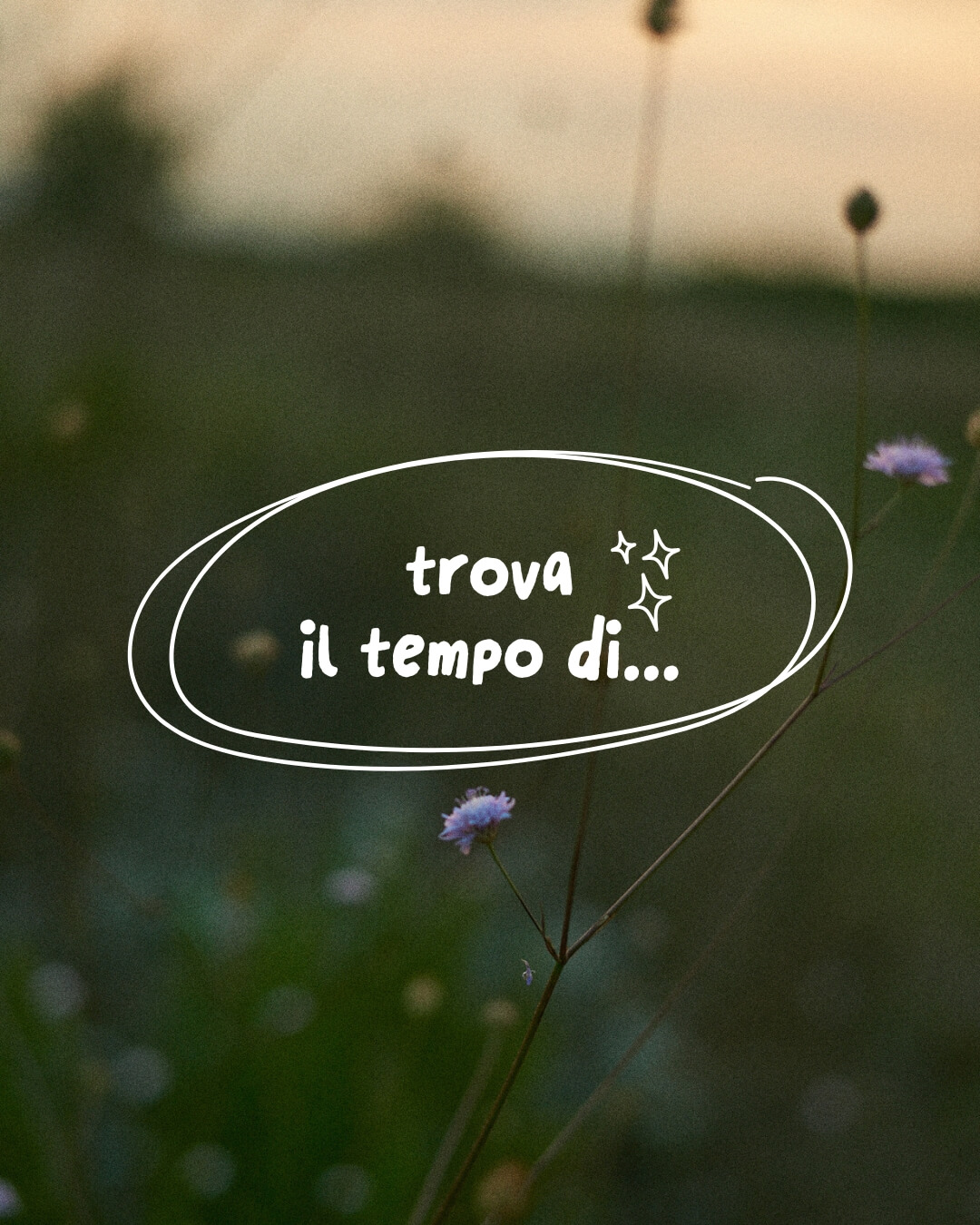 Newsletter trova il tempo di