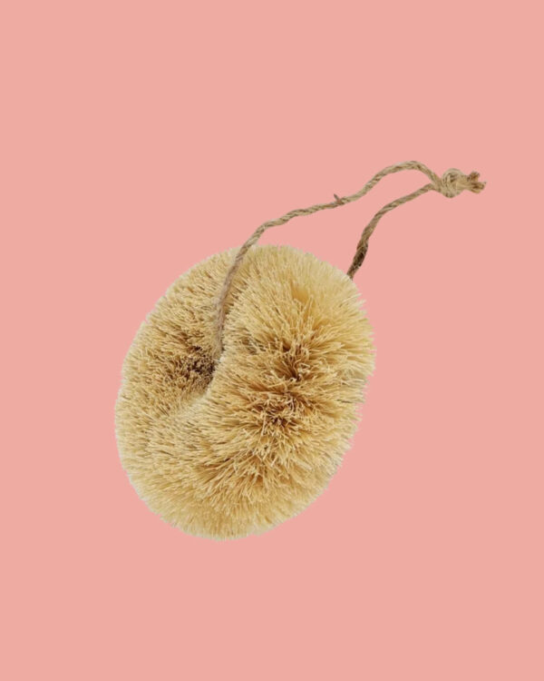 Redecker Spazzola Singola Cocco