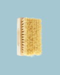 Spazzola Dry Brushing - Tek