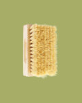 Spazzola Dry Brushing - Tek