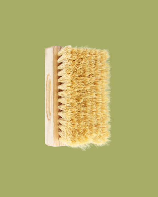 Tek Spazzola Dry Brushing Tampico