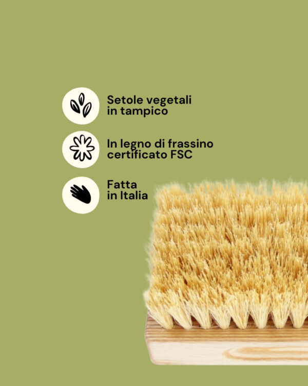 Tek Spazzola Dry Brushing Tampico Info